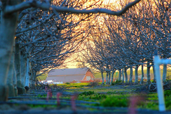 免费电话轰炸器