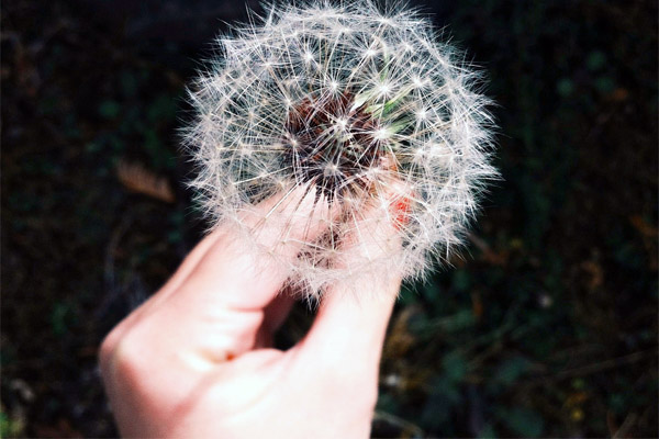 卡密代理内部的手机号码轰炸机免费版