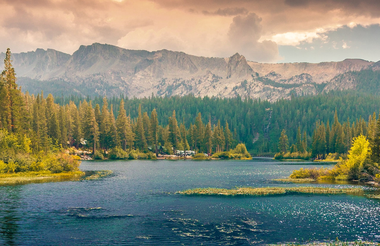 呼死你电话轰炸机