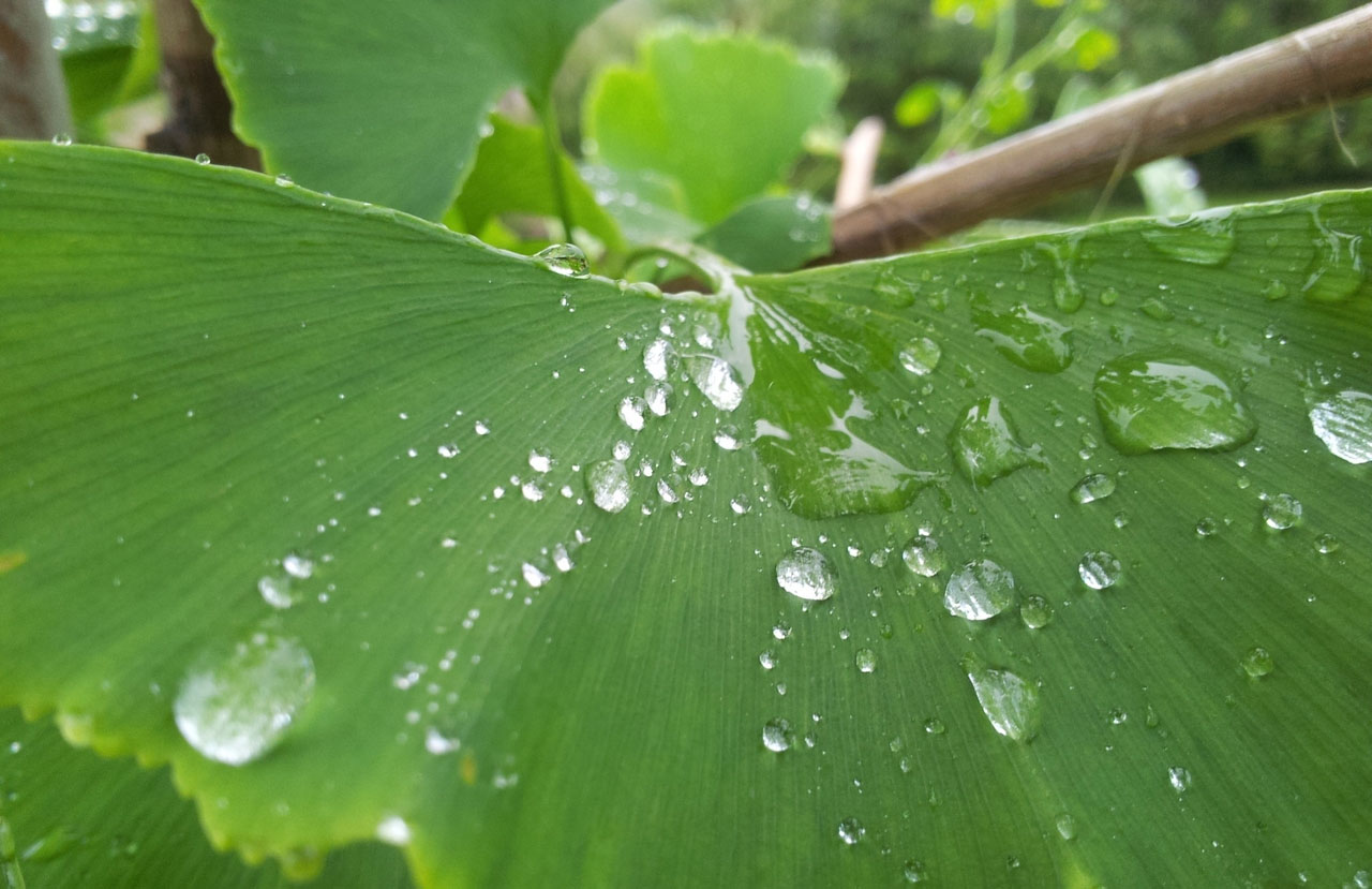 求助手机号码轰炸机免费版